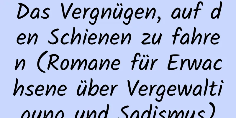 Das Vergnügen, auf den Schienen zu fahren (Romane für Erwachsene über Vergewaltigung und Sadismus)