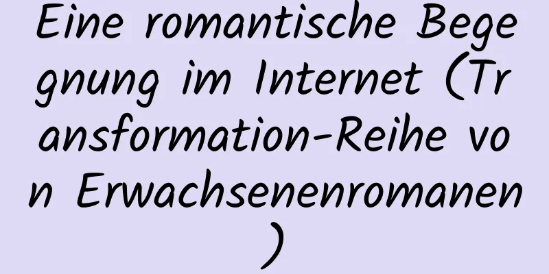 Eine romantische Begegnung im Internet (Transformation-Reihe von Erwachsenenromanen)