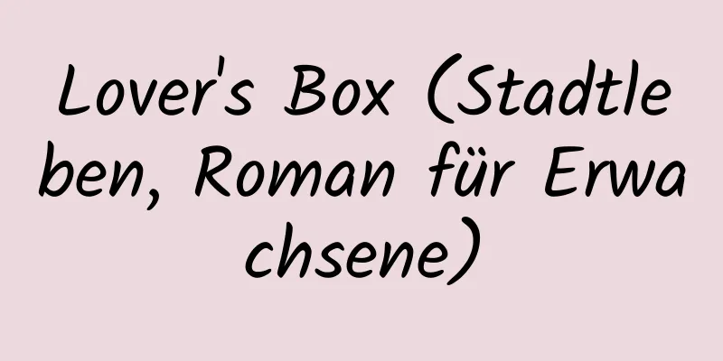 Lover's Box (Stadtleben, Roman für Erwachsene)