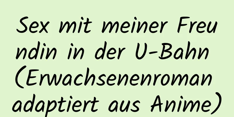 Sex mit meiner Freundin in der U-Bahn (Erwachsenenroman adaptiert aus Anime)