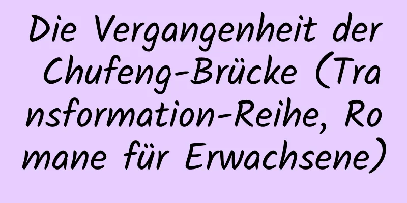 Die Vergangenheit der Chufeng-Brücke (Transformation-Reihe, Romane für Erwachsene)