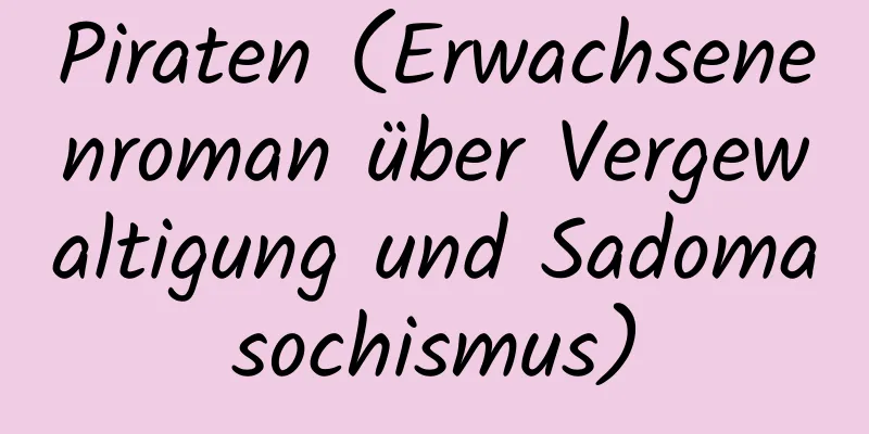 Piraten (Erwachsenenroman über Vergewaltigung und Sadomasochismus)