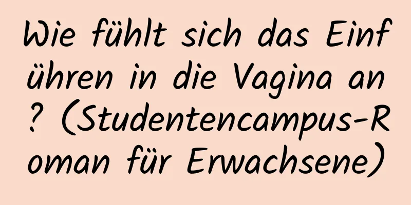 Wie fühlt sich das Einführen in die Vagina an? (Studentencampus-Roman für Erwachsene)