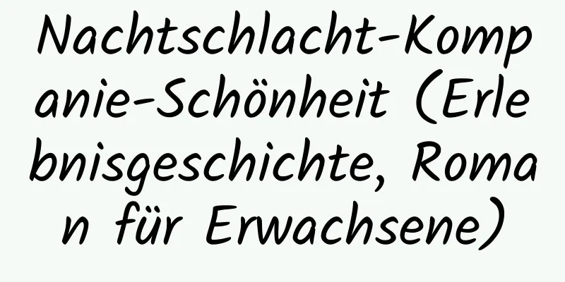 Nachtschlacht-Kompanie-Schönheit (Erlebnisgeschichte, Roman für Erwachsene)