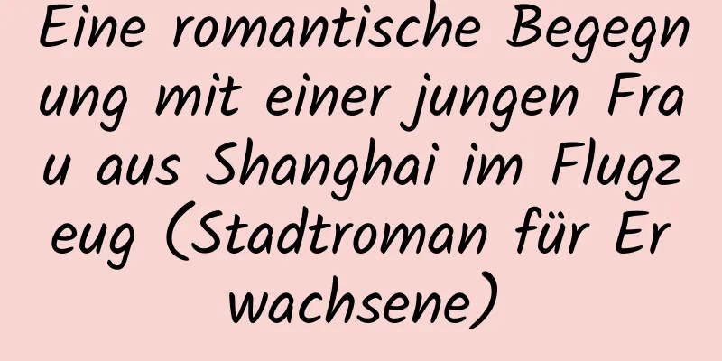 Eine romantische Begegnung mit einer jungen Frau aus Shanghai im Flugzeug (Stadtroman für Erwachsene)