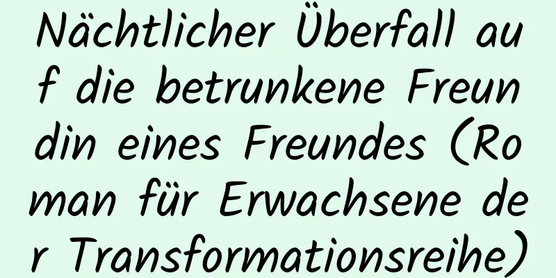 Nächtlicher Überfall auf die betrunkene Freundin eines Freundes (Roman für Erwachsene der Transformationsreihe)