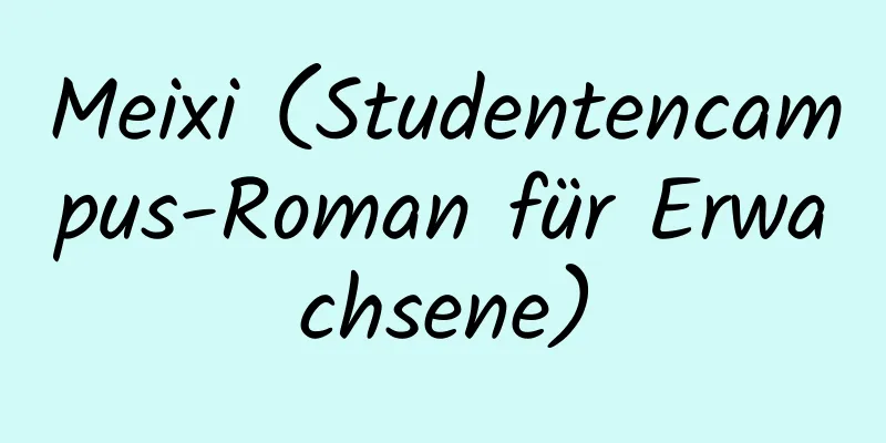 Meixi (Studentencampus-Roman für Erwachsene)