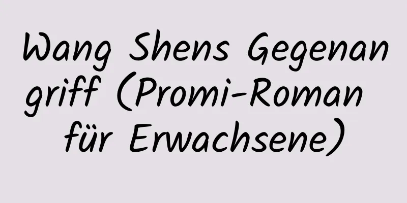 Wang Shens Gegenangriff (Promi-Roman für Erwachsene)