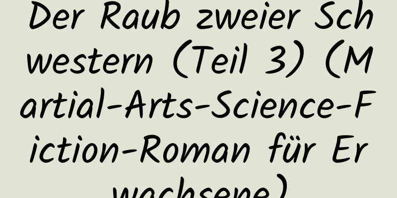 Der Raub zweier Schwestern (Teil 3) (Martial-Arts-Science-Fiction-Roman für Erwachsene)