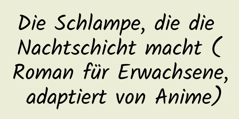 Die Schlampe, die die Nachtschicht macht (Roman für Erwachsene, adaptiert von Anime)