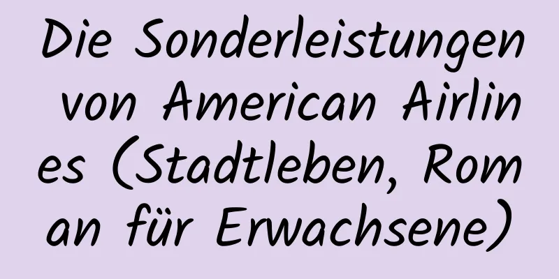 Die Sonderleistungen von American Airlines (Stadtleben, Roman für Erwachsene)