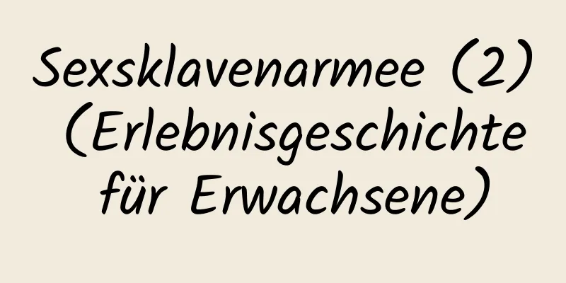 Sexsklavenarmee (2) (Erlebnisgeschichte für Erwachsene)