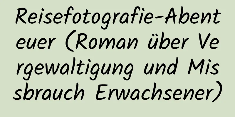 Reisefotografie-Abenteuer (Roman über Vergewaltigung und Missbrauch Erwachsener)