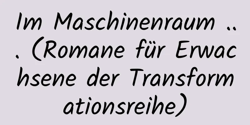 Im Maschinenraum ... (Romane für Erwachsene der Transformationsreihe)