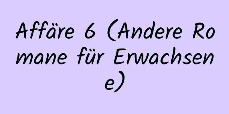 Affäre 6 (Andere Romane für Erwachsene)