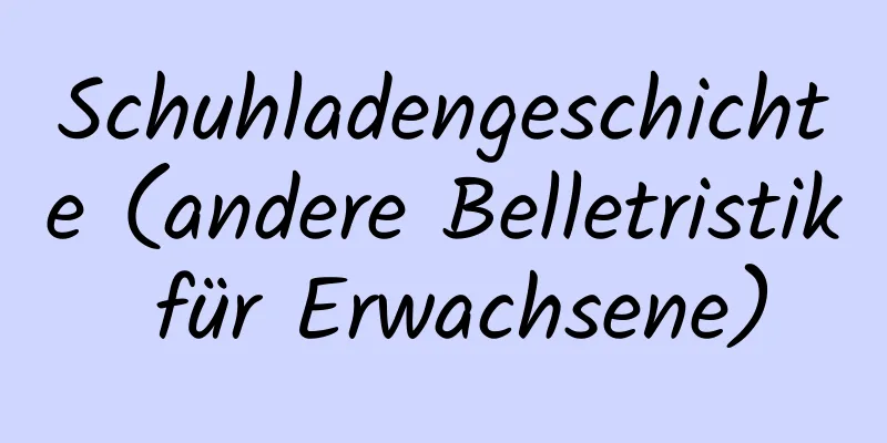 Schuhladengeschichte (andere Belletristik für Erwachsene)