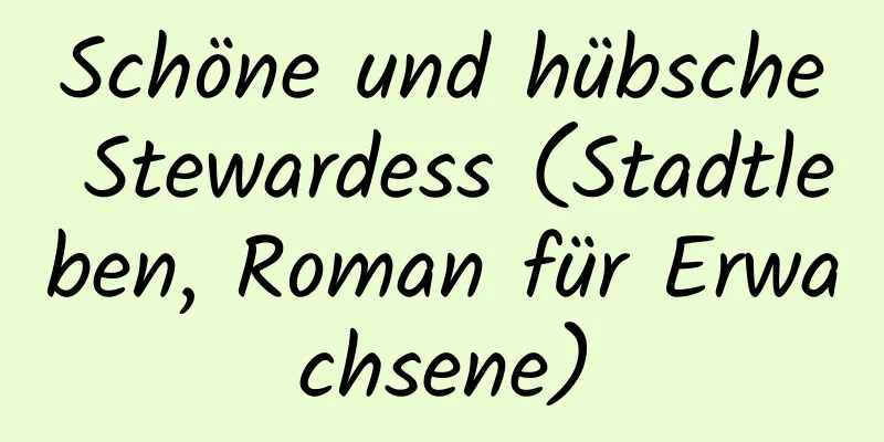 Schöne und hübsche Stewardess (Stadtleben, Roman für Erwachsene)