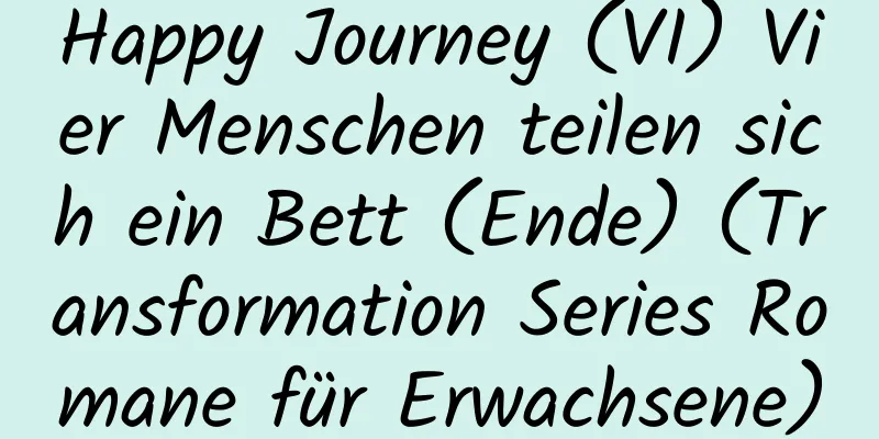 Happy Journey (VI) Vier Menschen teilen sich ein Bett (Ende) (Transformation Series Romane für Erwachsene)