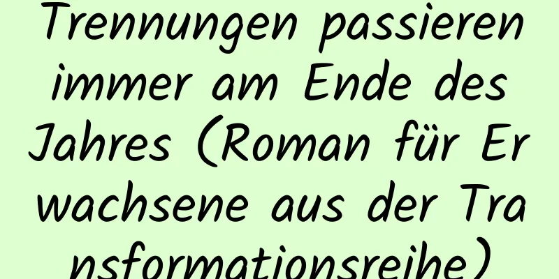 Trennungen passieren immer am Ende des Jahres (Roman für Erwachsene aus der Transformationsreihe)