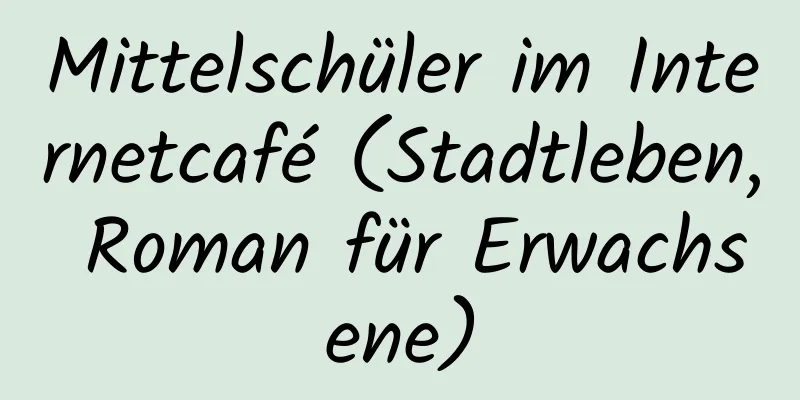 Mittelschüler im Internetcafé (Stadtleben, Roman für Erwachsene)