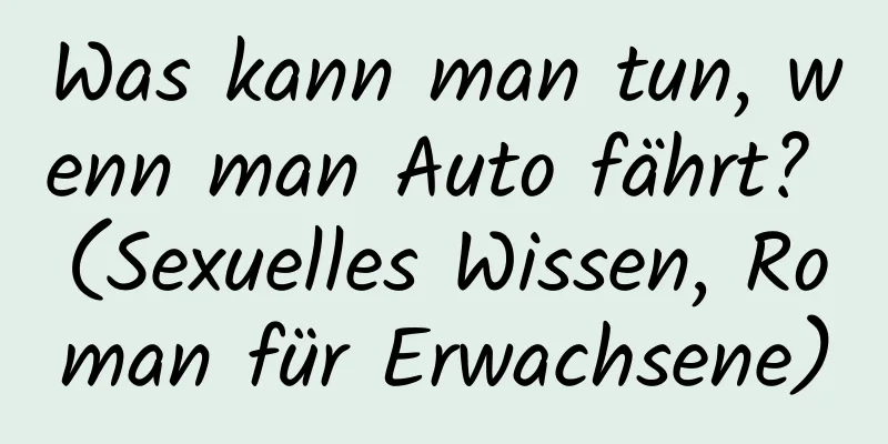 Was kann man tun, wenn man Auto fährt? (Sexuelles Wissen, Roman für Erwachsene)