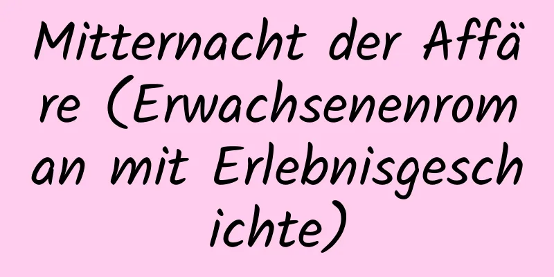 Mitternacht der Affäre (Erwachsenenroman mit Erlebnisgeschichte)