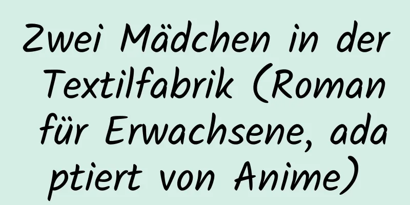 Zwei Mädchen in der Textilfabrik (Roman für Erwachsene, adaptiert von Anime)