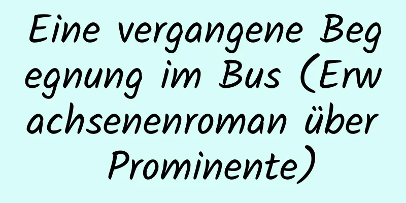 Eine vergangene Begegnung im Bus (Erwachsenenroman über Prominente)