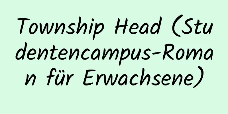 Township Head (Studentencampus-Roman für Erwachsene)