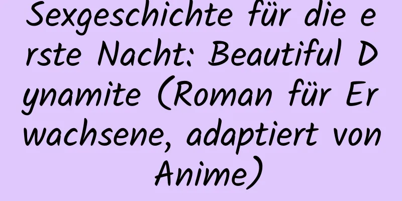 Sexgeschichte für die erste Nacht: Beautiful Dynamite (Roman für Erwachsene, adaptiert von Anime)