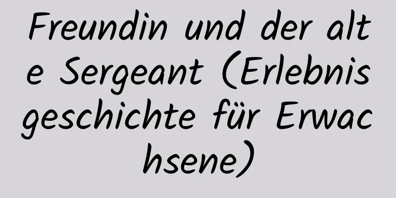 Freundin und der alte Sergeant (Erlebnisgeschichte für Erwachsene)