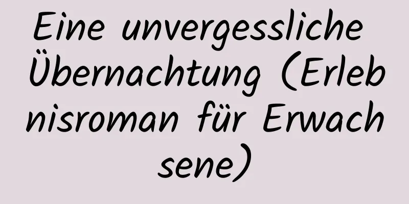 Eine unvergessliche Übernachtung (Erlebnisroman für Erwachsene)