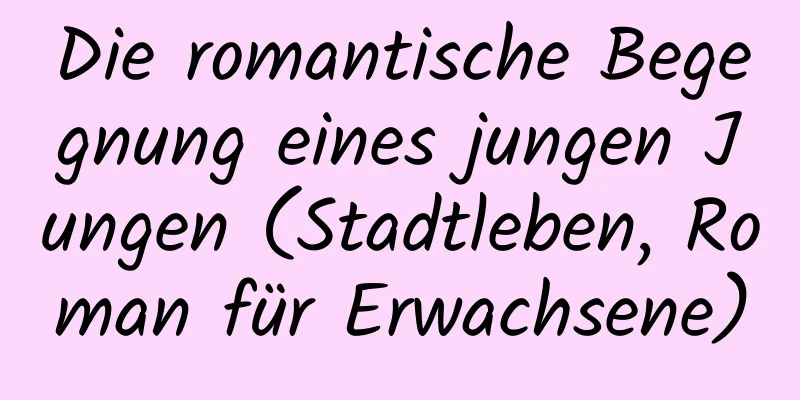 Die romantische Begegnung eines jungen Jungen (Stadtleben, Roman für Erwachsene)