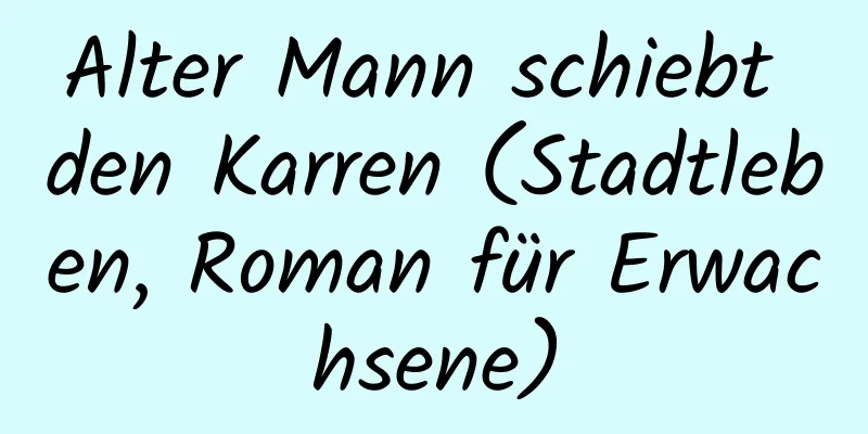 Alter Mann schiebt den Karren (Stadtleben, Roman für Erwachsene)