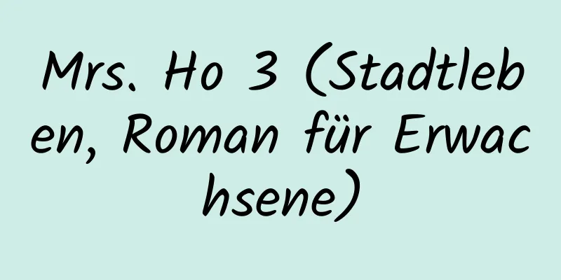 Mrs. Ho 3 (Stadtleben, Roman für Erwachsene)