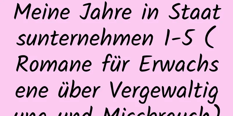 Meine Jahre in Staatsunternehmen 1-5 (Romane für Erwachsene über Vergewaltigung und Missbrauch)