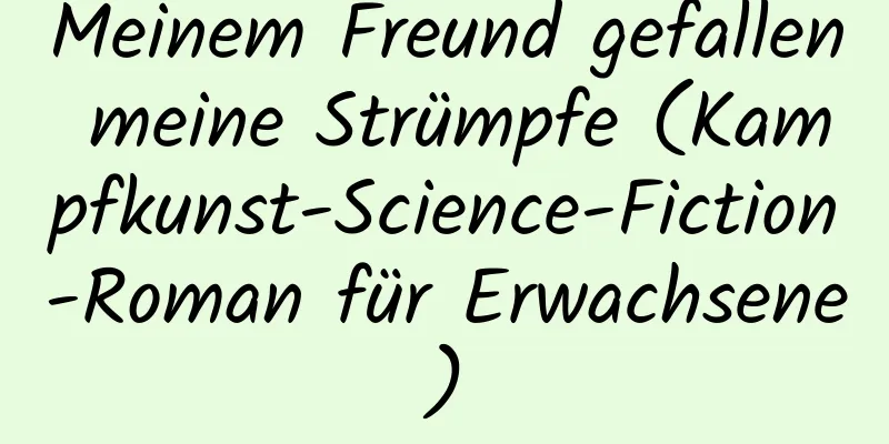 Meinem Freund gefallen meine Strümpfe (Kampfkunst-Science-Fiction-Roman für Erwachsene)