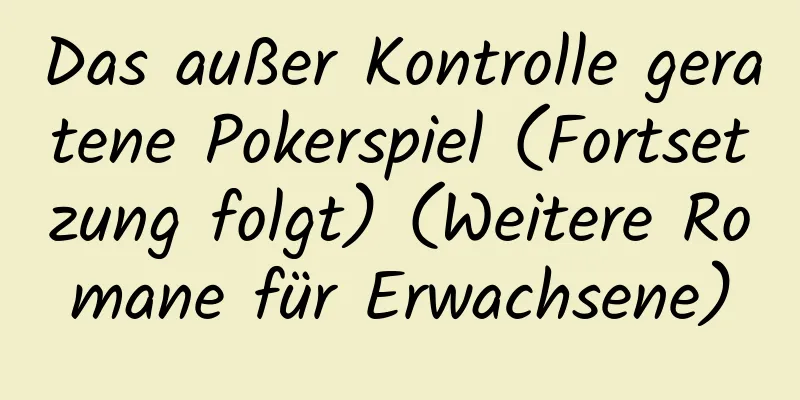 Das außer Kontrolle geratene Pokerspiel (Fortsetzung folgt) (Weitere Romane für Erwachsene)