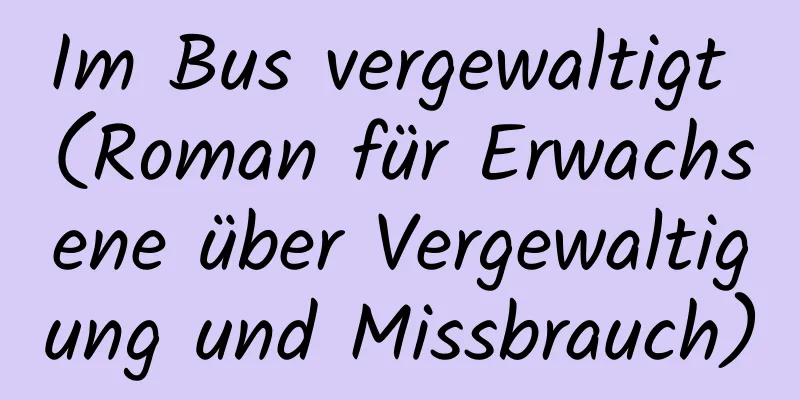 Im Bus vergewaltigt (Roman für Erwachsene über Vergewaltigung und Missbrauch)