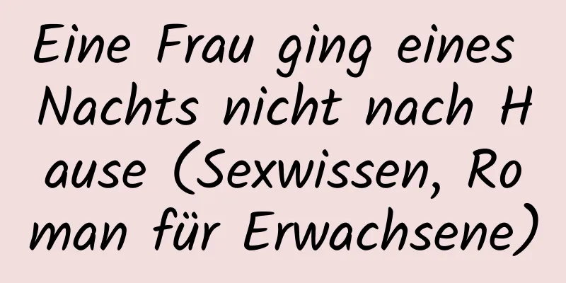 Eine Frau ging eines Nachts nicht nach Hause (Sexwissen, Roman für Erwachsene)