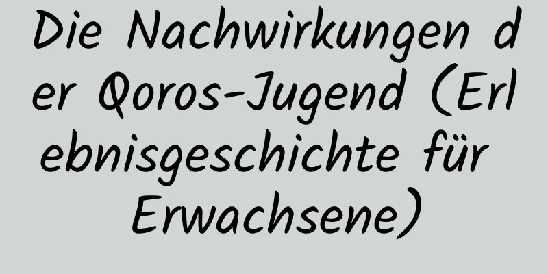 Die Nachwirkungen der Qoros-Jugend (Erlebnisgeschichte für Erwachsene)