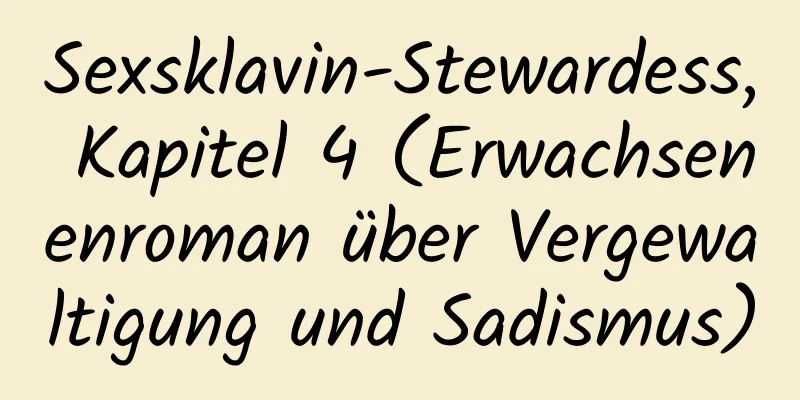 Sexsklavin-Stewardess, Kapitel 4 (Erwachsenenroman über Vergewaltigung und Sadismus)