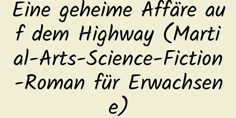 Eine geheime Affäre auf dem Highway (Martial-Arts-Science-Fiction-Roman für Erwachsene)