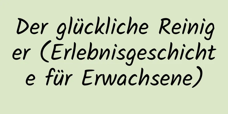 Der glückliche Reiniger (Erlebnisgeschichte für Erwachsene)