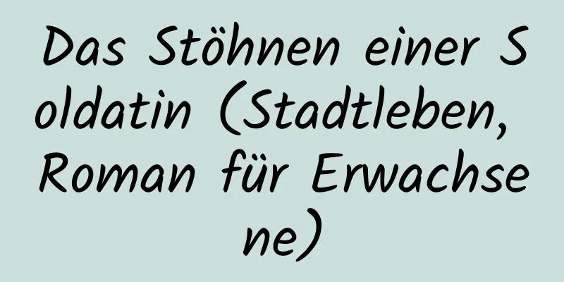 Das Stöhnen einer Soldatin (Stadtleben, Roman für Erwachsene)