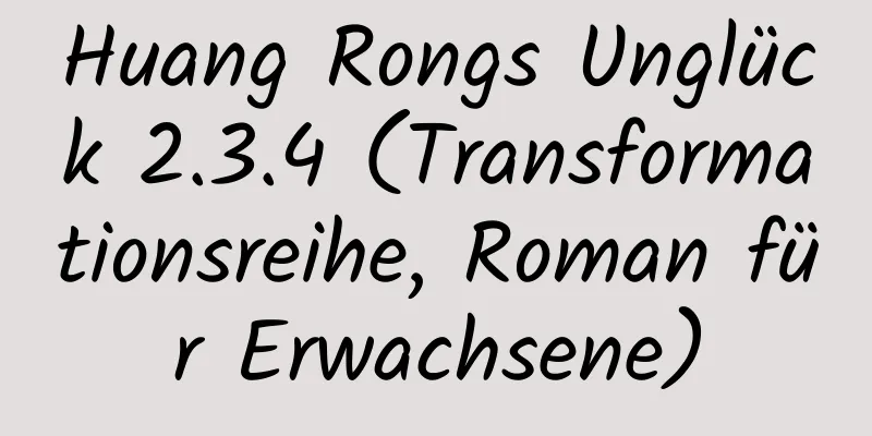 Huang Rongs Unglück 2.3.4 (Transformationsreihe, Roman für Erwachsene)