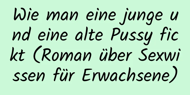 Wie man eine junge und eine alte Pussy fickt (Roman über Sexwissen für Erwachsene)