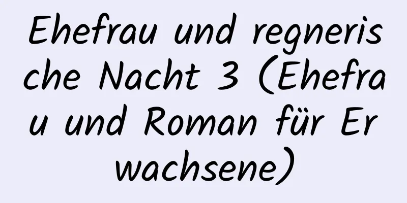 Ehefrau und regnerische Nacht 3 (Ehefrau und Roman für Erwachsene)