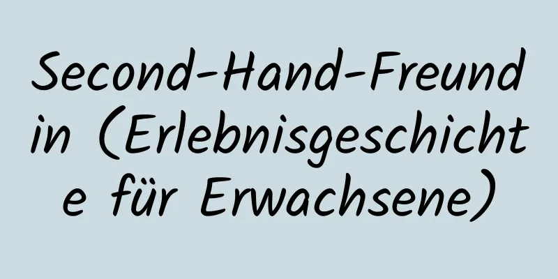 Second-Hand-Freundin (Erlebnisgeschichte für Erwachsene)