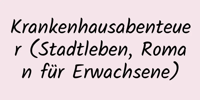 Krankenhausabenteuer (Stadtleben, Roman für Erwachsene)